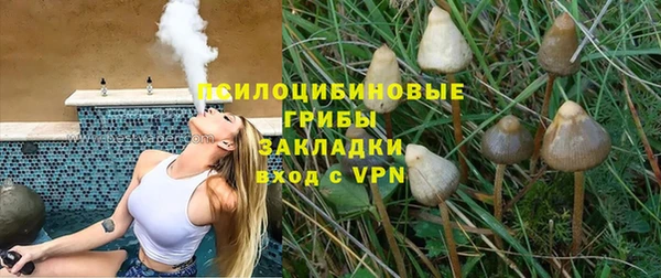 мескалин Михайлов